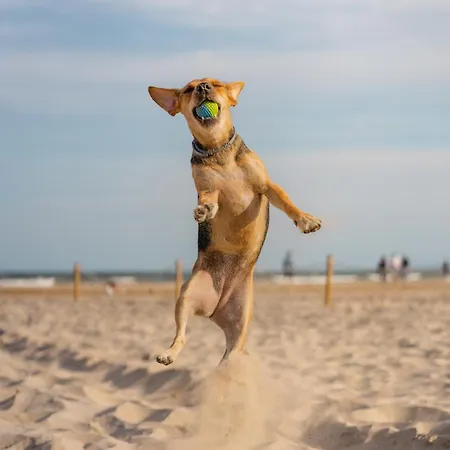 Maries Sterntaler Apartament