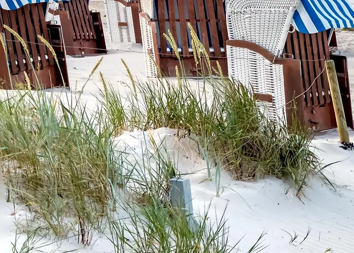 Maries Sterntaler Daire Schillig