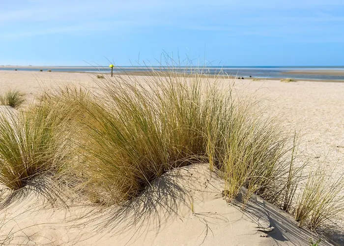 Maries Sterntaler Daire